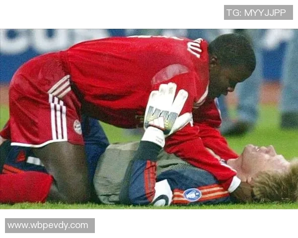 汪星人足球明星的精彩瞬间与背后的感人故事